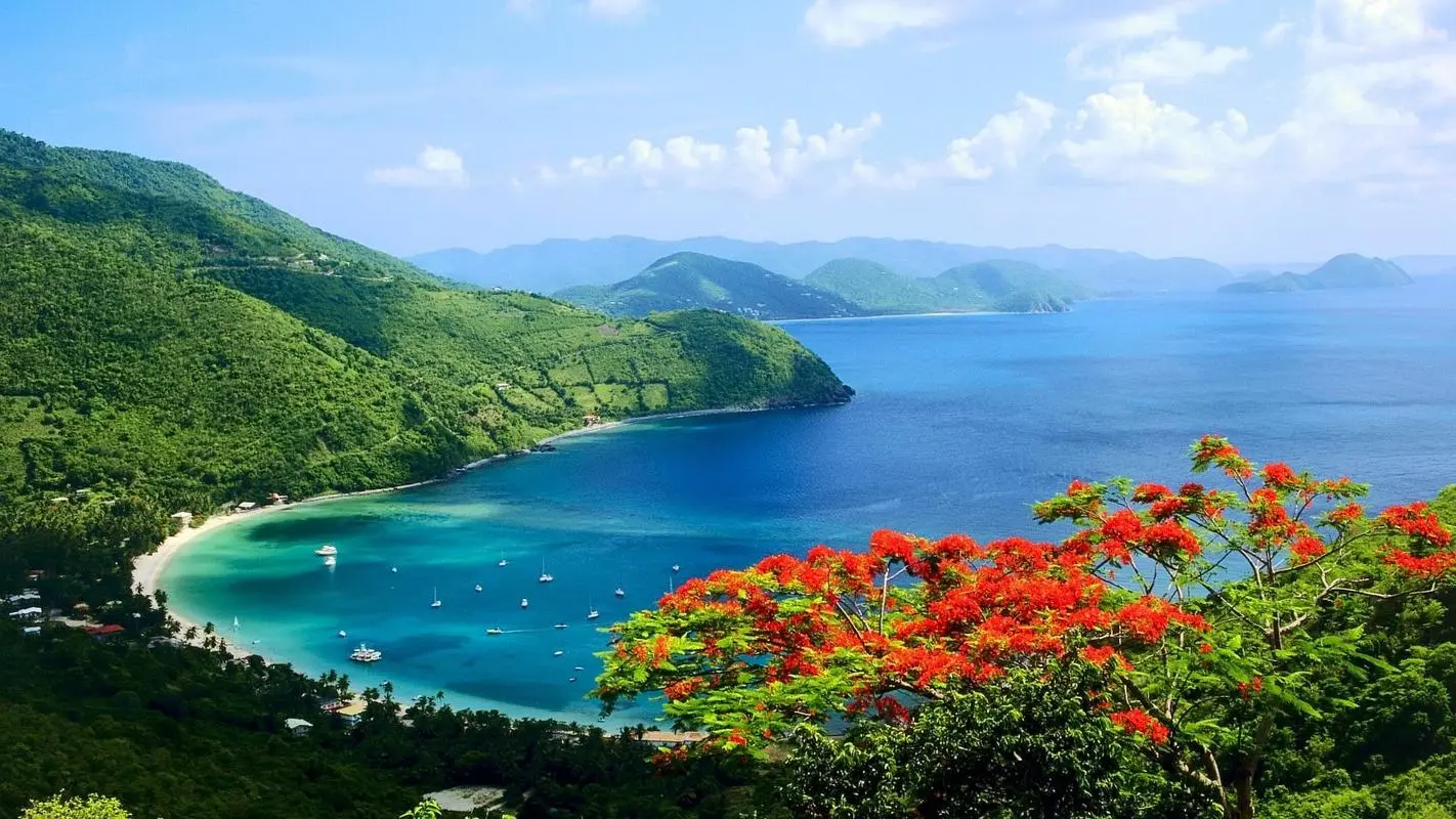 高端智能高效